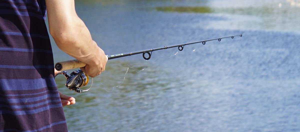 Beginner's Guide: Best Fishing Rods for Beginners