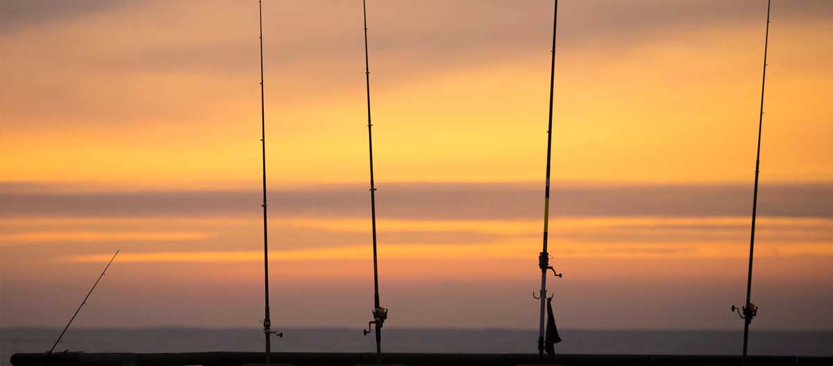 Rods: Types of Fishing Rods