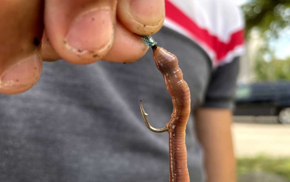 Beginner's Guide: How to Hook Live Bait (Worms & Minnows)