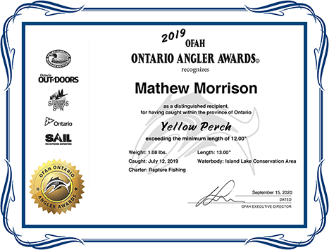 Ontario Angler Awards - Yellow Perch