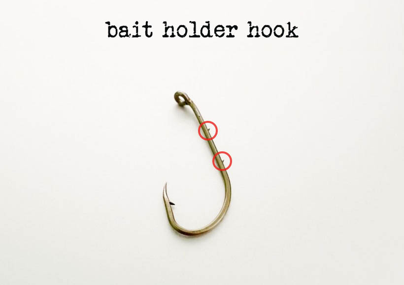 https://rapturefishing.com/wp-content/uploads/2021/07/fishing-bait-holder-hook.jpg